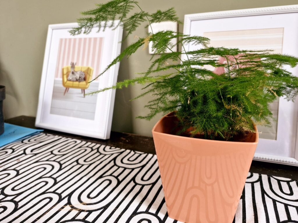 plant office