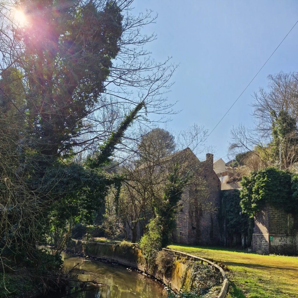 the mill
